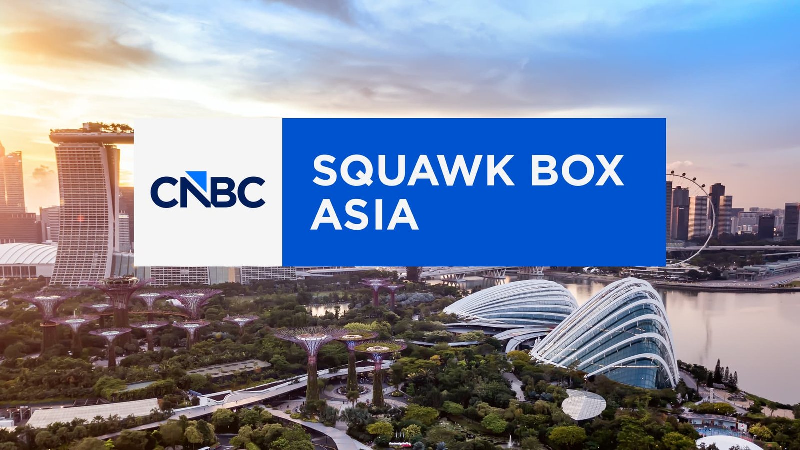 Squawk Box Asia