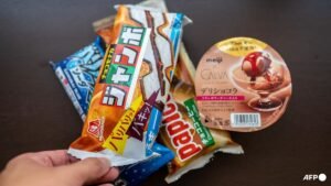 Japan puts the heat on suspected ice cream cartel