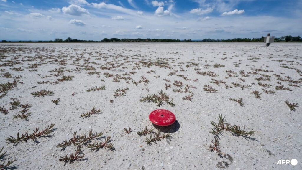 Climate change to blame for intensity of Europe heatwave: Scientists