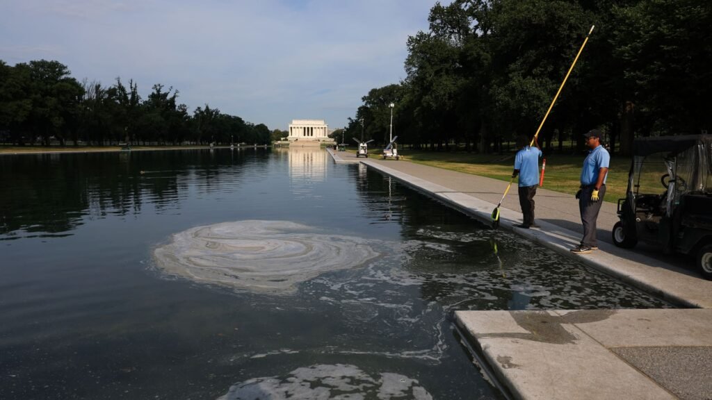 Democrats probe Trump’s troubled $16 million reflecting pool renovation