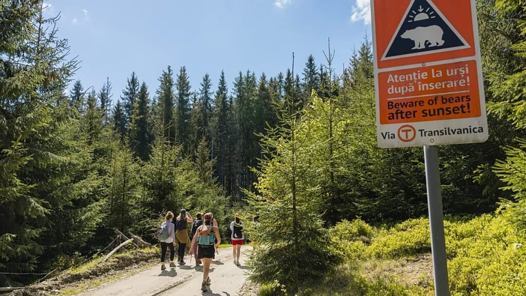 Why you should walk Romania’s Via Transilvanica hiking trail in 2026