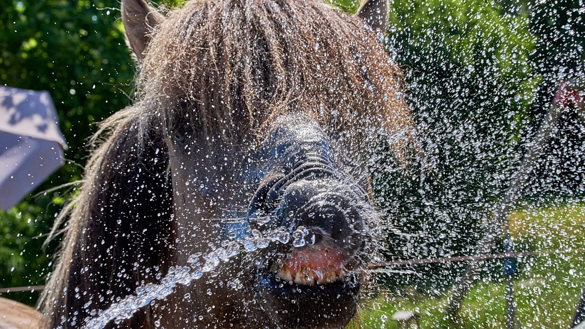 Another heat record broken in Germany