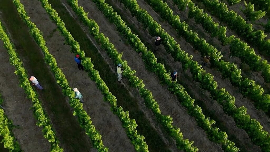 France adapts as extreme heat becomes the new norm