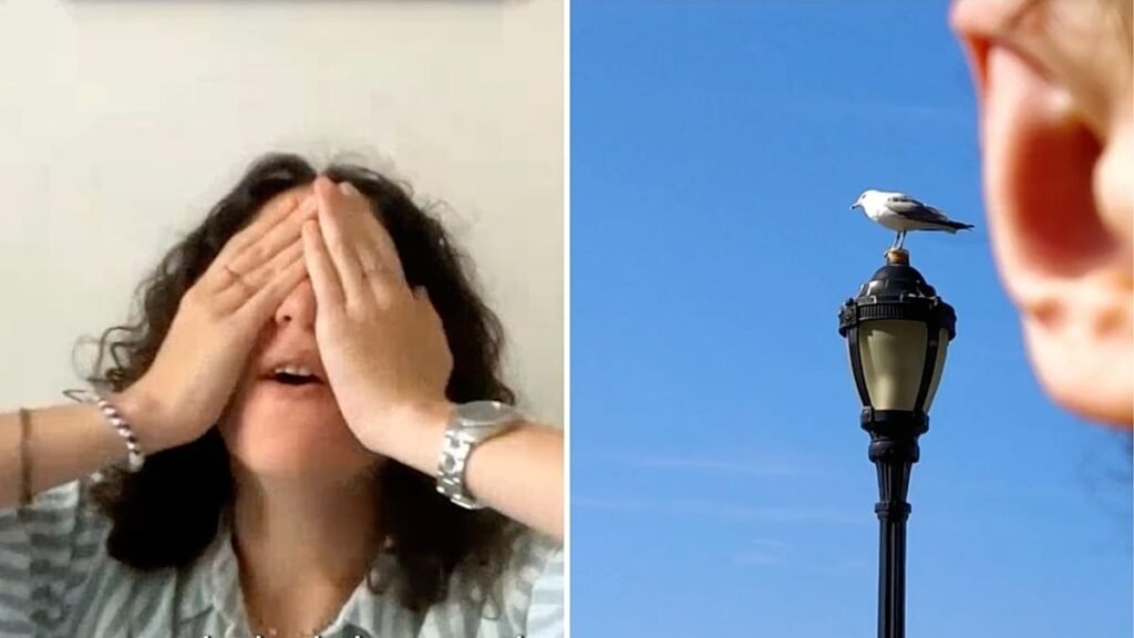 Icelandair just gave $50,000 to the ‘worst photographer in the world’