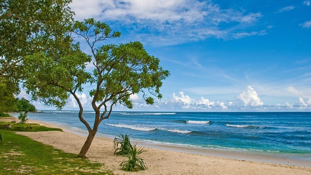 Australia and Vanuatu sign deal barring foreign military from island