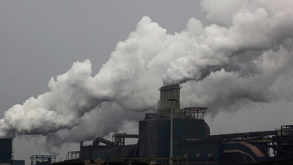 Portugal urges Brussels to rethink free carbon allowances cut