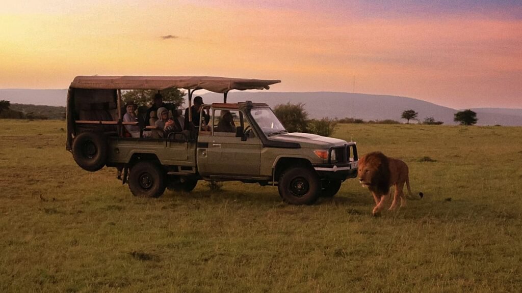 Africa’s hottest new safari lodges to book now