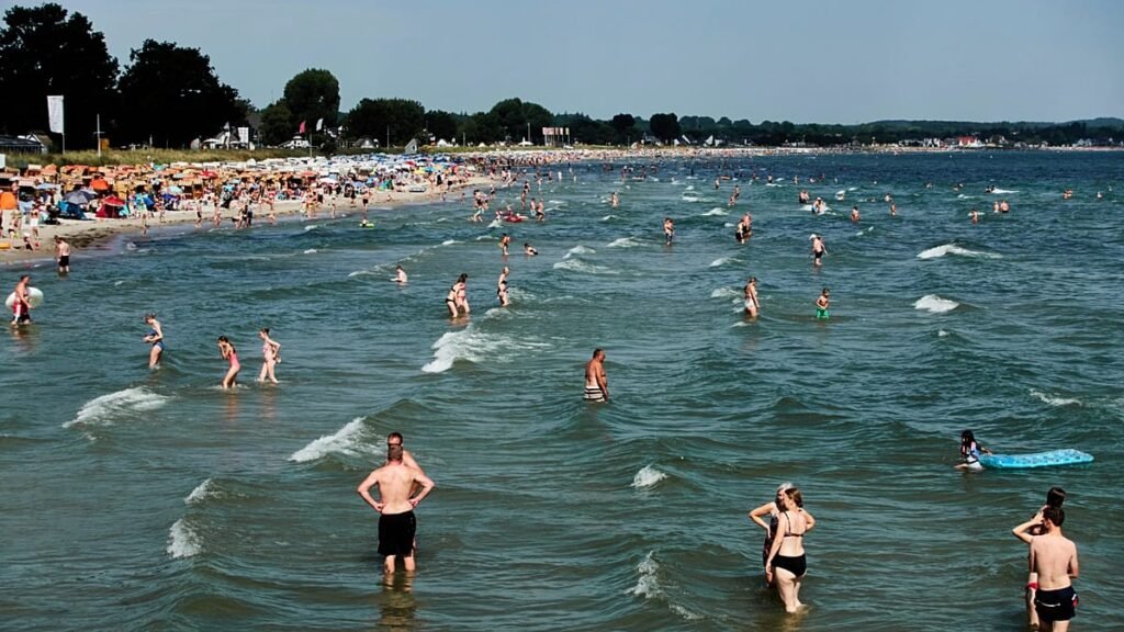 Flesh-rotting bacteria: What is Vibrio and should you be worried?
