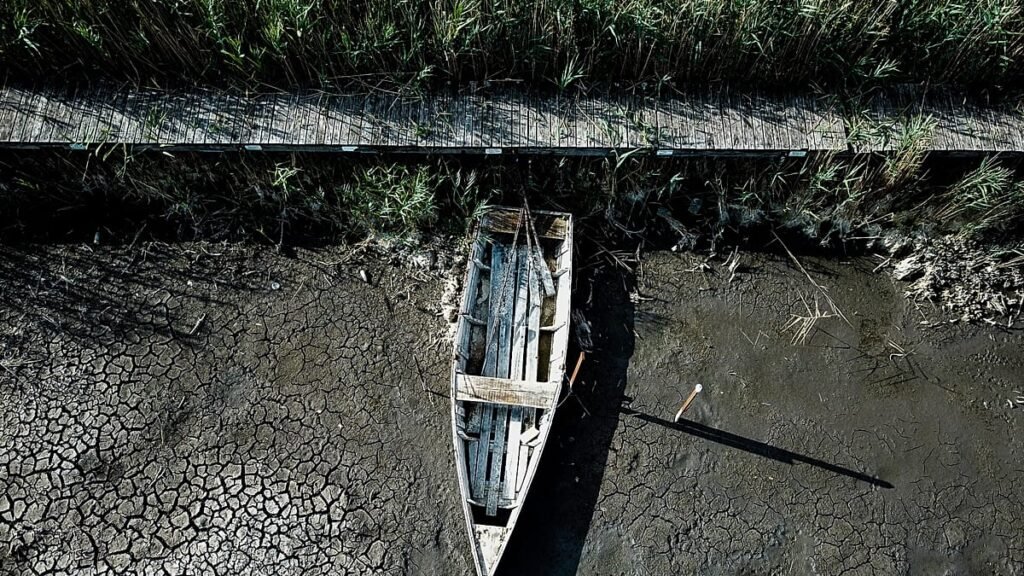 As Hungary’s third-largest lake dries up, ecosystems are at risk