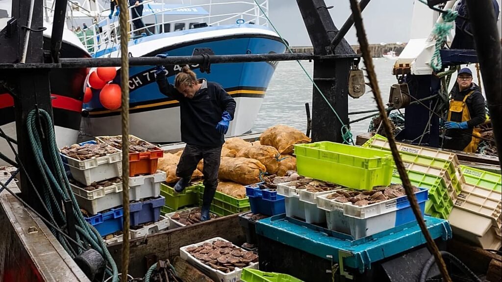 French fishermen gather in Cherbourg as sector faces challenges