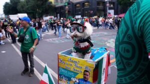 Video. Meet Osito, the rescue dog winning hearts at the World Cup