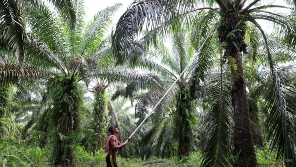 Indonesia fleshes out plan to strengthen state control over commodity imports
