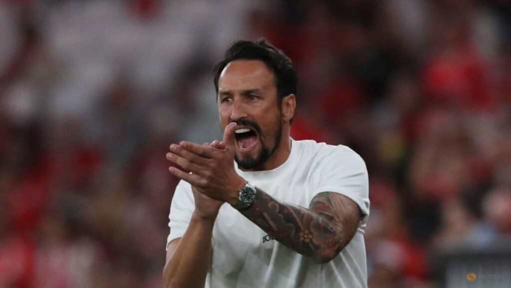 Wolves appoint Peixoto as new boss
