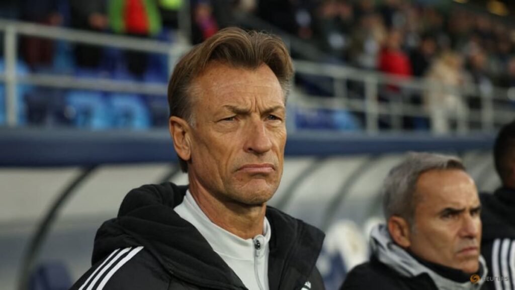 Renard brings African winning record confidence to Tunisia job