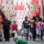 Merlin the duck: From Mexico City streets to World Cup stardom