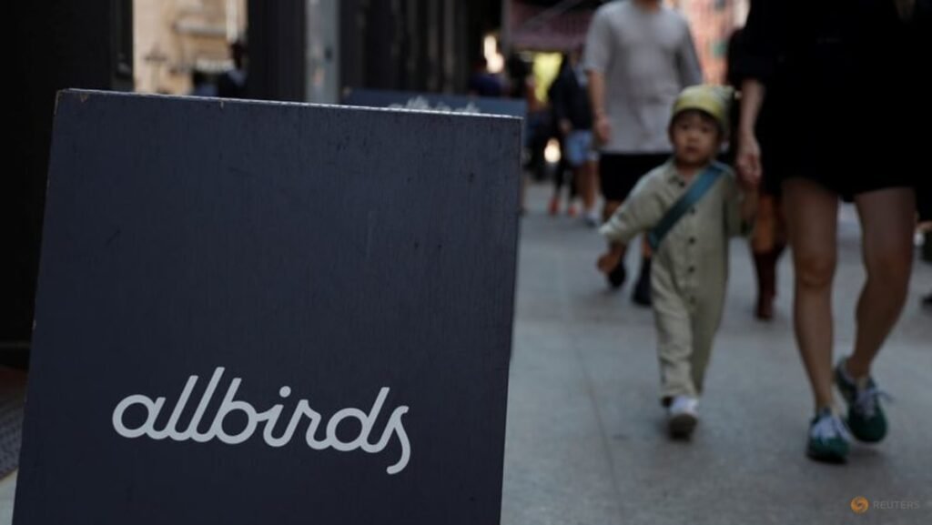 Allbirds rebrands as Smartbird in AI pivot, hires former AWS executive as CEO