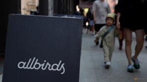 Allbirds rebrands as Smartbird in AI pivot, hires former AWS executive as CEO