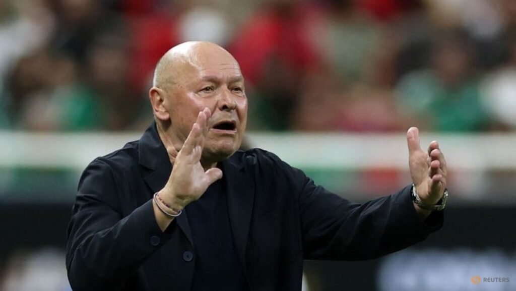 Czechs expect a different South Africa, says coach Koubek