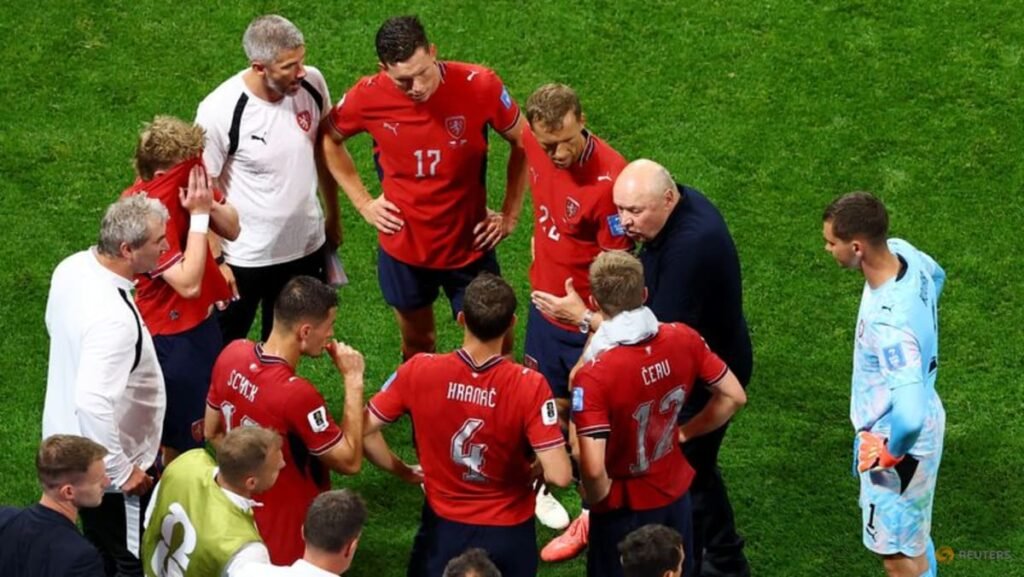 Czechs closer to victory than South Africa, says Koubek