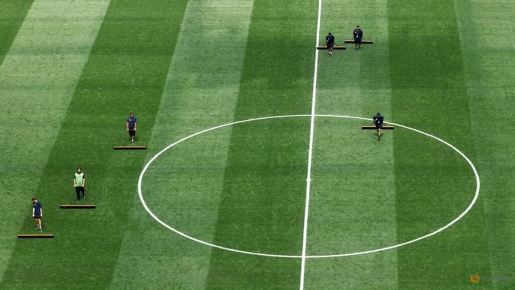 Pitch not perfect: World Cup players find weirdness underfoot on innovative grass