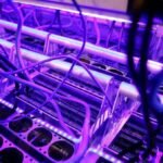Bitcoin miner and AI firm Ionic Digital files for Nasdaq direct listing