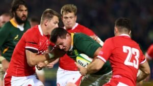 Louw called up to strengthen Springbok options for Nations Championship