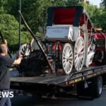 Teenager dies in horse-drawn carriage accident in New York