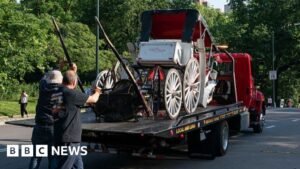 Teenager dies in horse-drawn carriage accident in New York