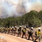 Three firefighters die battling huge wildfires in Colorado