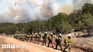 Three firefighters die battling huge wildfires in Colorado