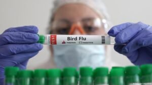 First case of H5 bird flu confirmed in Australia