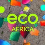 The Ghanaian popstar initiating grassroots action