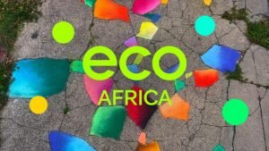The Ghanaian popstar initiating grassroots action