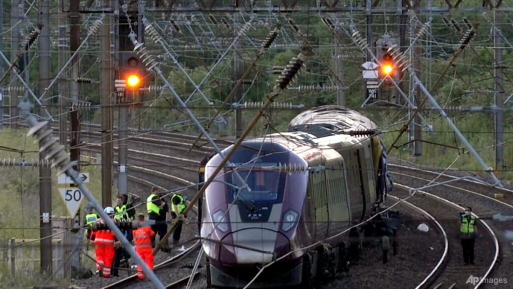 Driver killed in UK train collision passed red signal: investigators