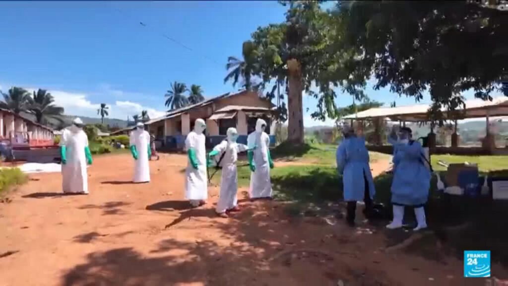 WHO says Ebola response catching up as confirmed DRC cases hit 344