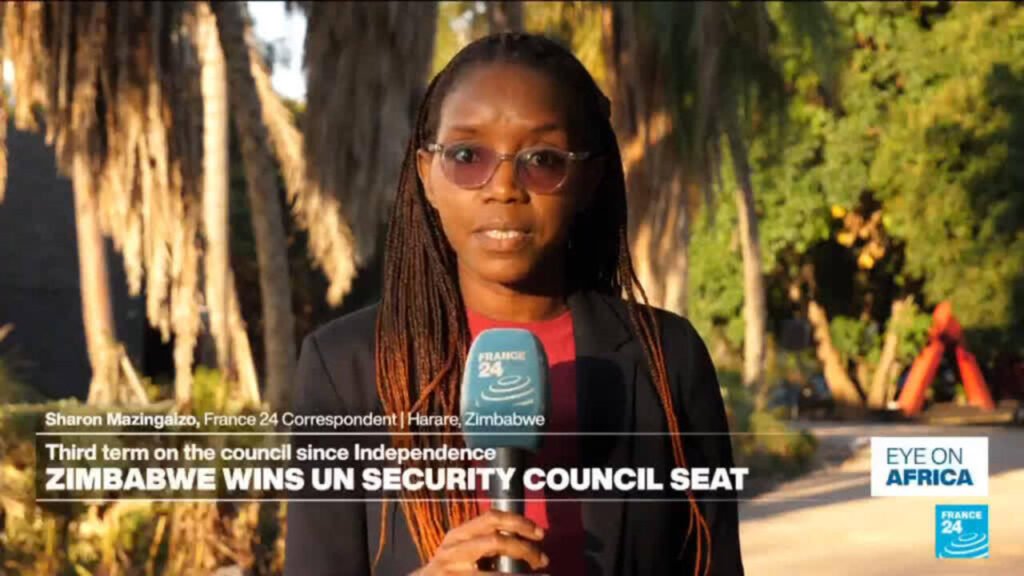 Zimbabwe elected to UN Security Council