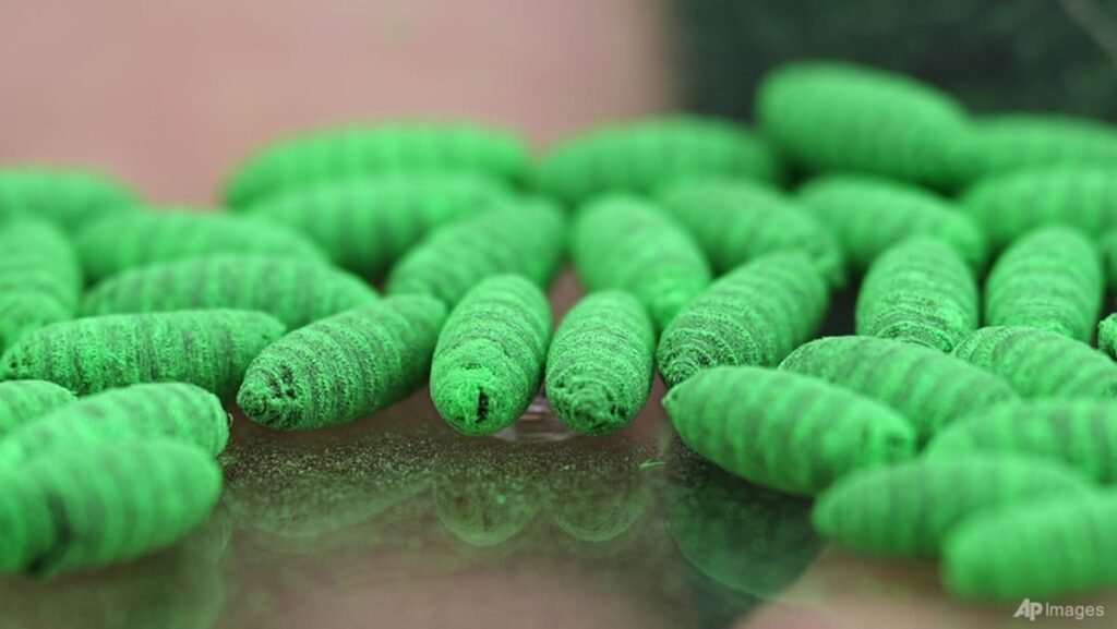 UN agencies launch $1 million project to contain screwworm outbreak