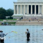 Davey Hearn: Former Olympian denies vandalising Washington Reflecting Pool after arrest
