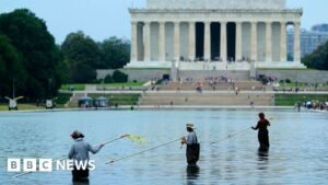 Davey Hearn: Former Olympian denies vandalising Washington Reflecting Pool after arrest