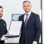 Zelensky stripped of Polish honour over WW2 name of army unit