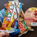 Japan ice cream giants raided over suspected price-fixing