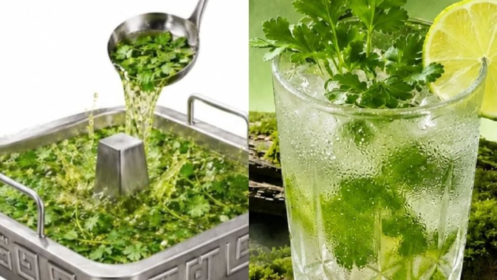 Haidilao Singapore launches coriander-themed menu with hotpot broth, drinks and more