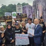 Malaysia’s anti-graft agency launches probe into elephants’ transfer to Japan zoo