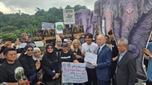 Malaysia’s anti-graft agency launches probe into elephants’ transfer to Japan zoo