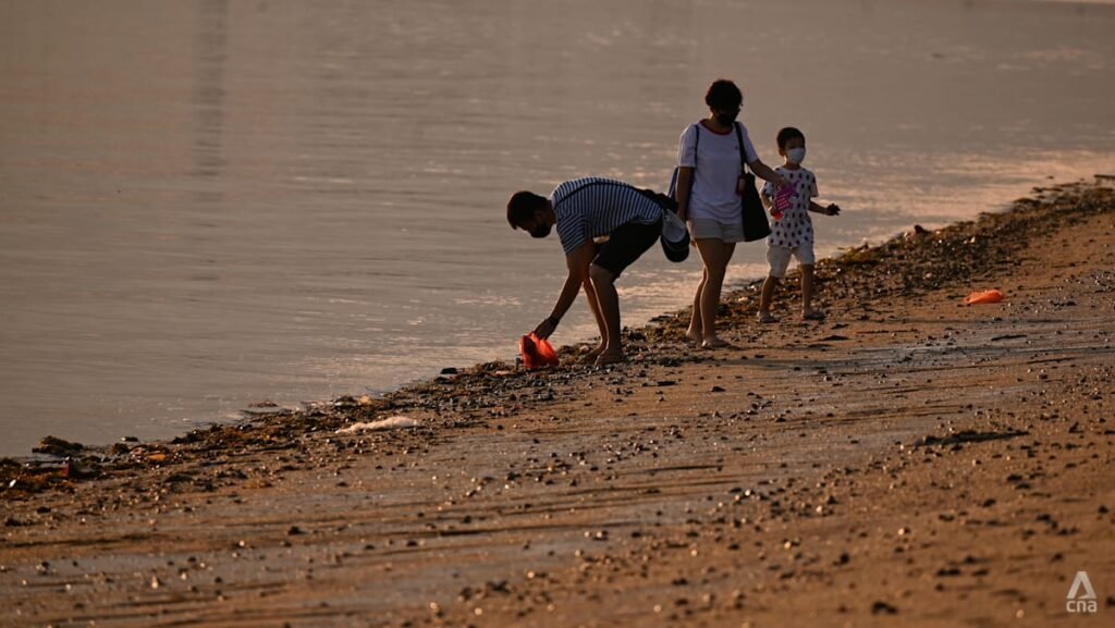 New rulebook on how landowners can defend coast from rising seas launched, to be mandatory from 2028