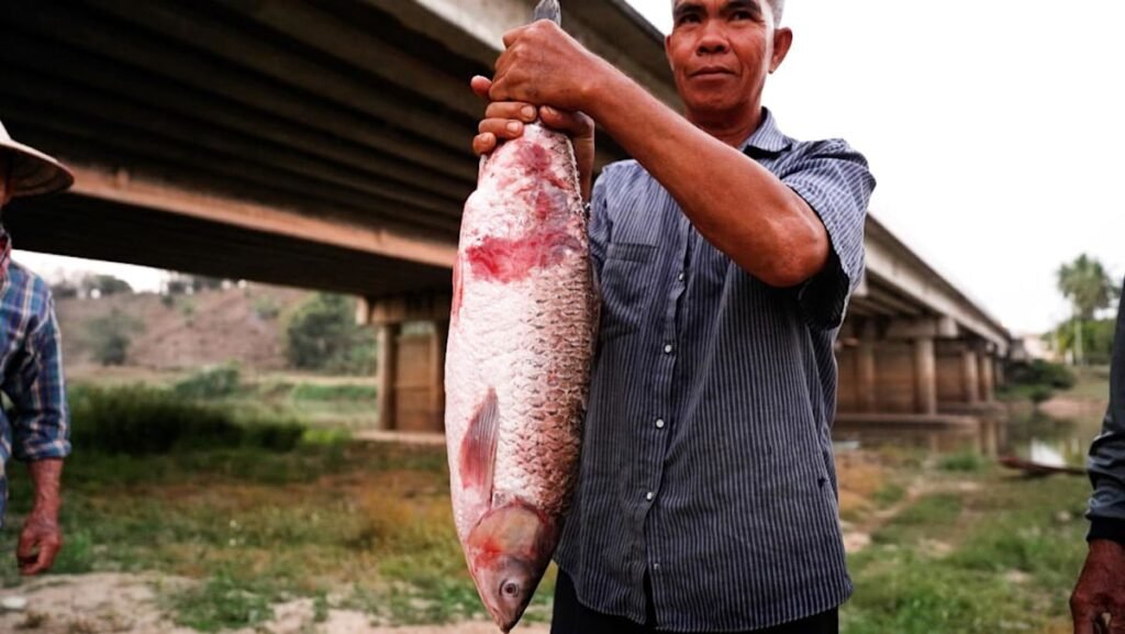 How rare earth mining in Myanmar threatens Thailand’s rice and fish