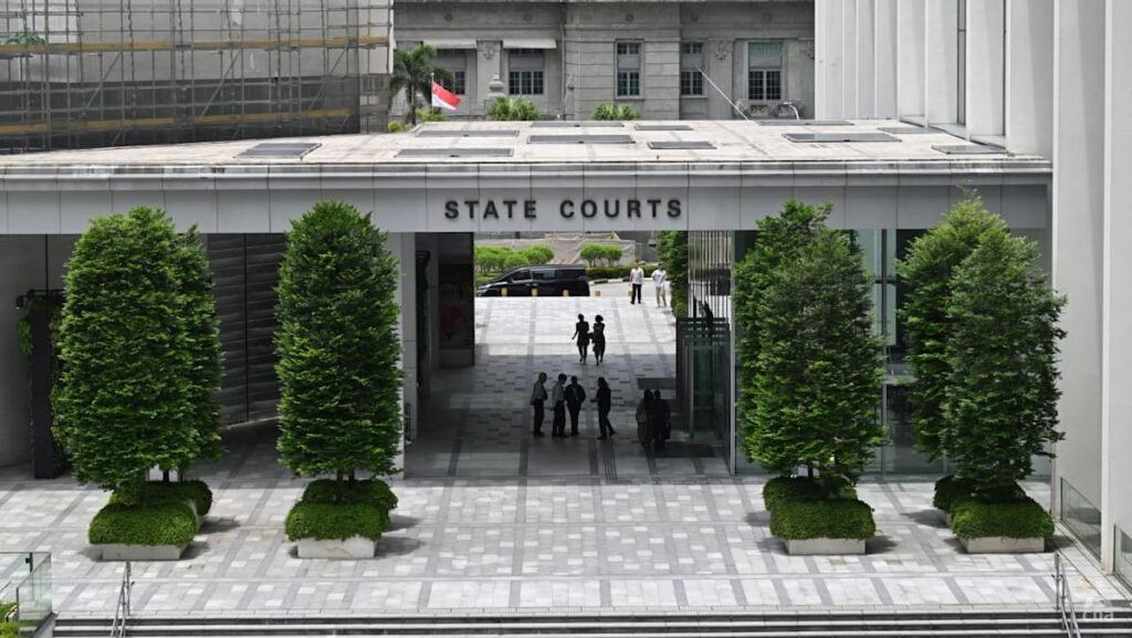 ‘Highly gullible’ woman acted as money mule; court rejects mental condition arguments