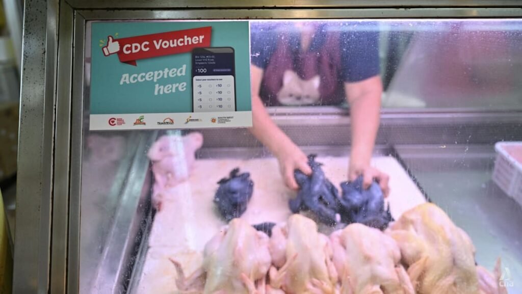 Singaporean households can claim S$500 CDC vouchers from Jun 11