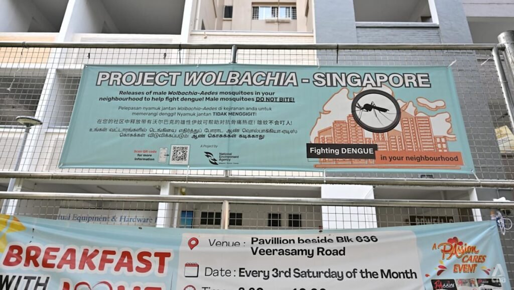 Commentary: The real achievement behind 10 years of Project Wolbachia in Singapore’s dengue fight