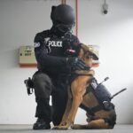 Singapore police trialling mounted cameras on K-9 unit dogs